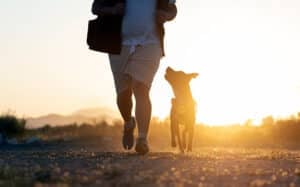 Tips on How to Protect Yourself from Dogs While Running